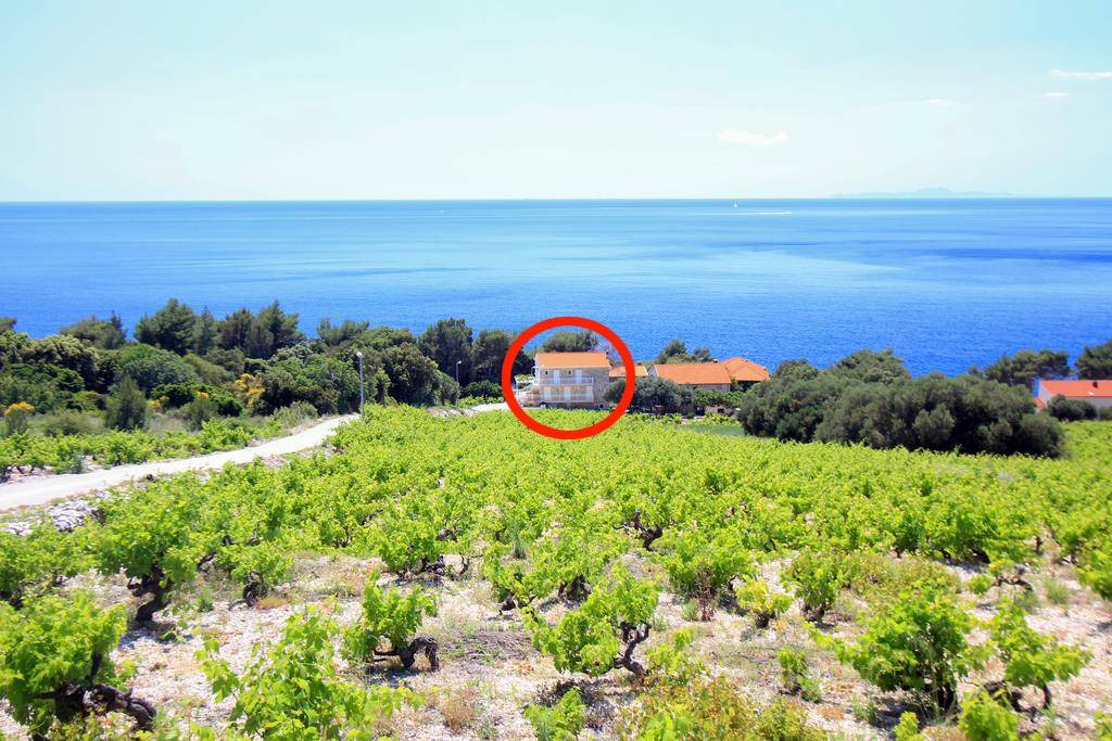 Orebic Apartment | 30 m² Apartment ∙ 1 bedroom ∙ 3 guests
