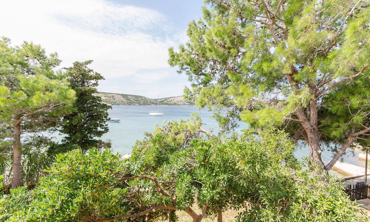 Stara Novalja Apartment | Apartments A-Z (55061-A3) - Stara Novalja - island Pag