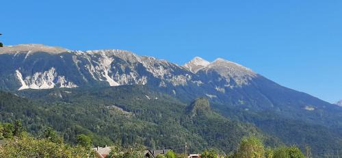 Jesenice Apartment | Apartma Dana-Brinjtesa