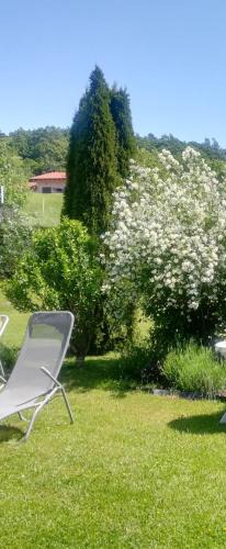 Ilirska Bistrica Apartment | Apartma Deni