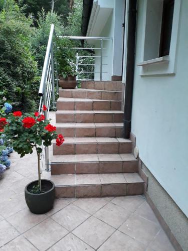 Dobrova-Polhov Gradec Apartment | Apartma Dolomiti