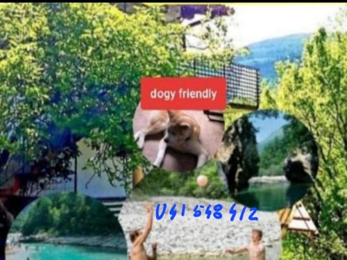 Borjana Apartment | Apartma NADIŽA