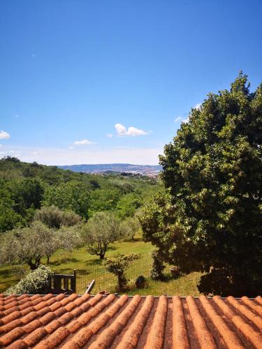 Koper Apartment | Apartma Rok