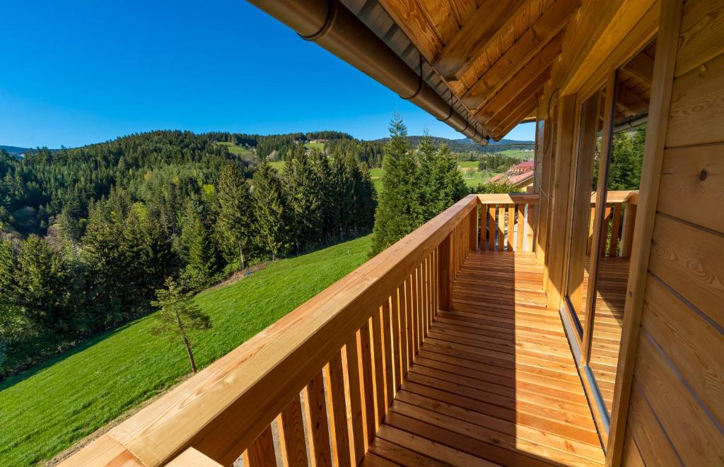 Zrece Apartment | Apartmaji na kozolcu - Smogavc