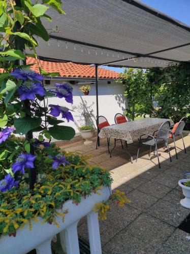 Kosinozici Apartment | Apartman Aurora Parenzo