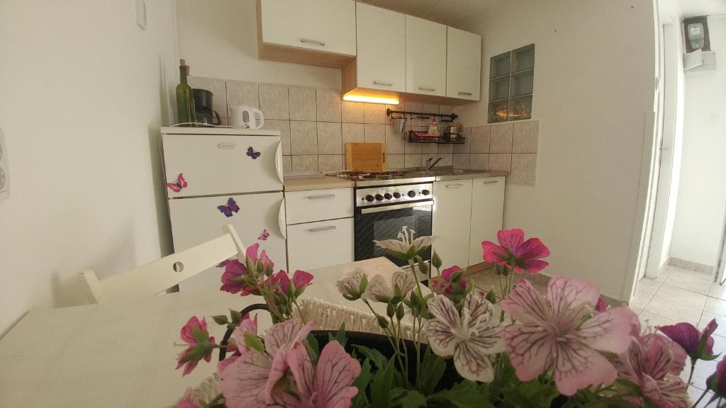 Draga Bascanska Apartment | Apartman Goga