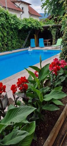 Ig Apartment | Apartman MURKO S-3