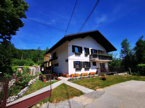Delnice Apartment | Apartman Ornela