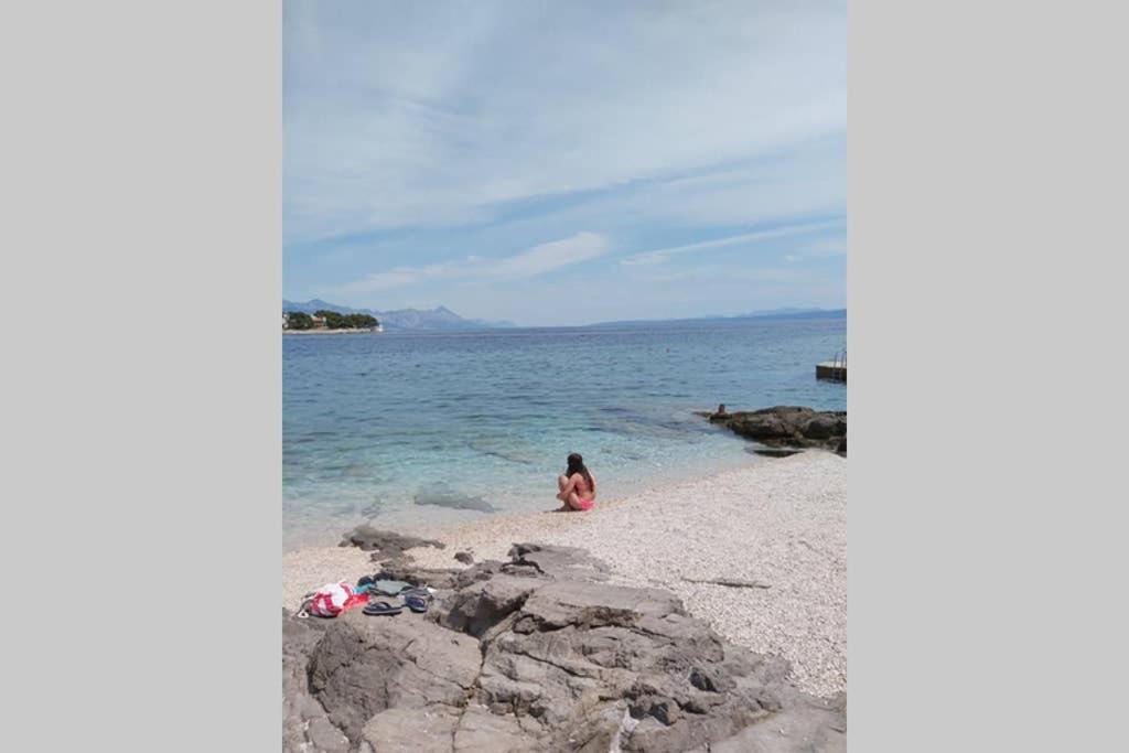 Selca Apartment | Apartment Brandel * Croatia * Brac * Selca * Puntinak