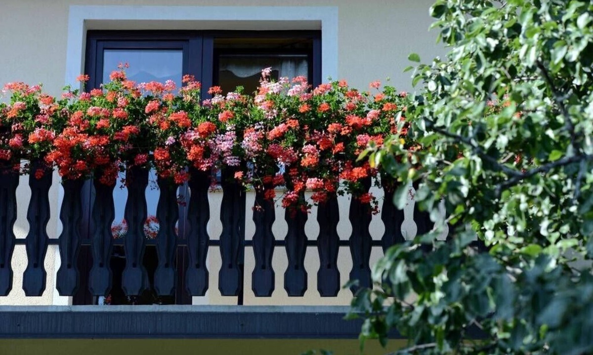 Zrece Apartment | Apartment House Koprivnik - Apartment 2