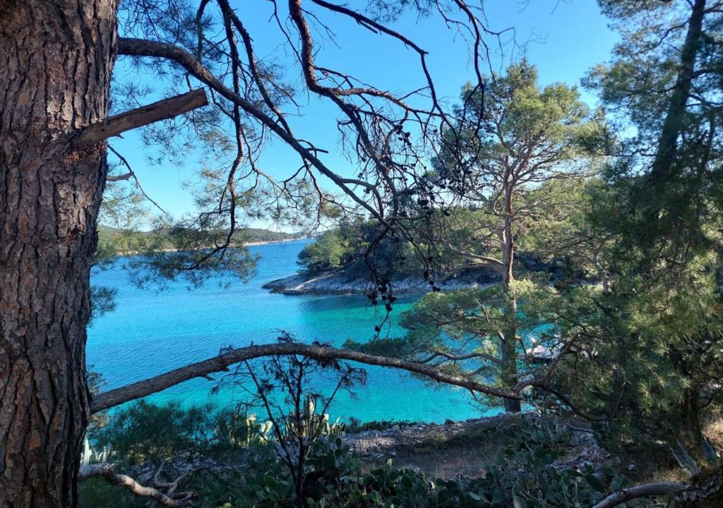 Artatore Apartment | Apartment in Mali Losinj with terrace, air conditioning, WiFi, washing machine 4913-1