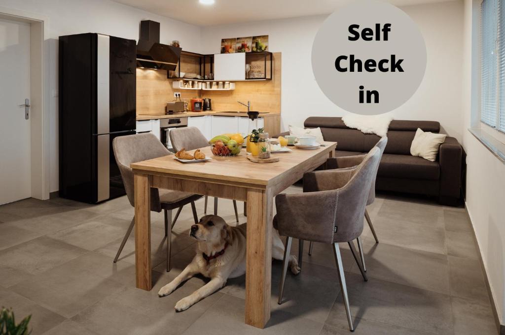 Moravske Toplice Apartment | Apartment Shanell Lounge