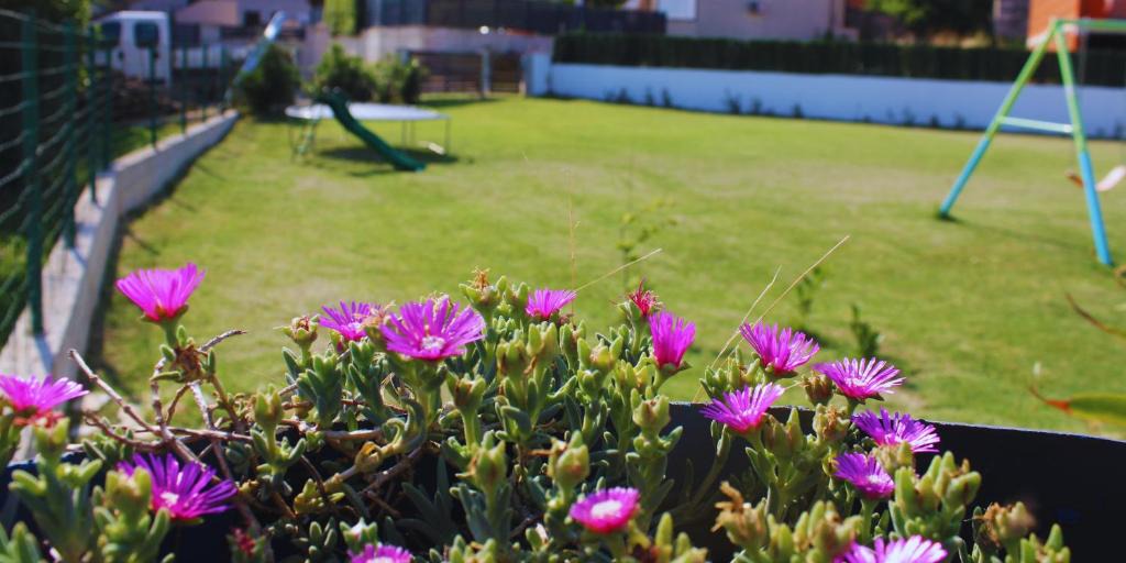 Skatari Apartment | Apartment Villa ElFi with private pool