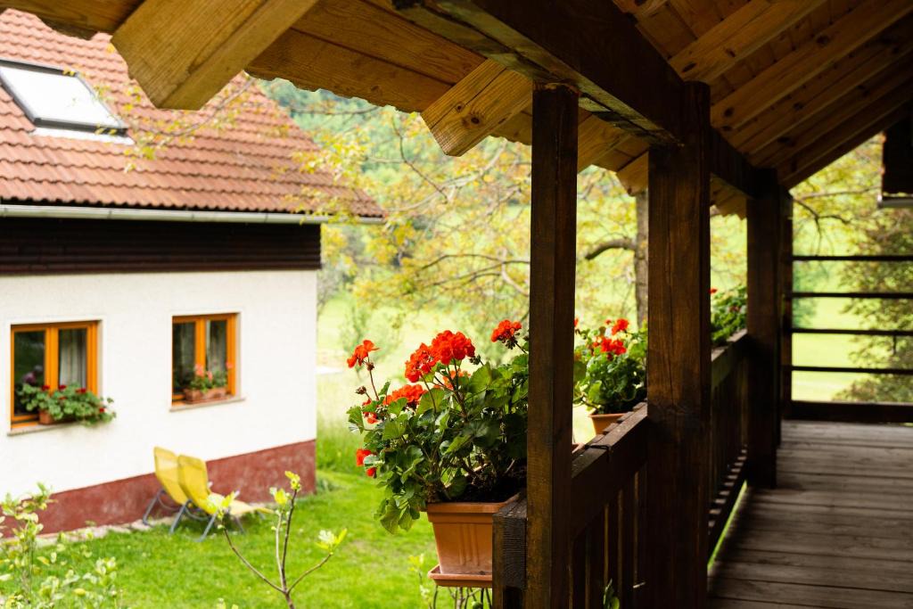 Vojnik Apartment | Apartment Vrhivšek