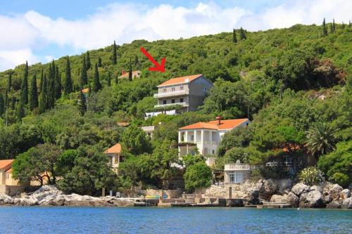 Molunat Apartment | Apartments Antunović