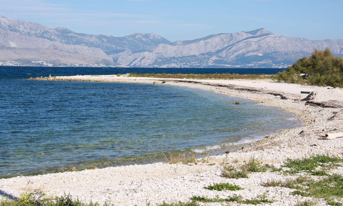 Mirce Apartment | Apartments Frano (12151-A2) - Mirca - island Brac
