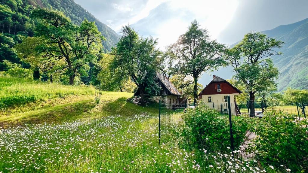 Soca Apartment | Apartments Mala Korita Soče