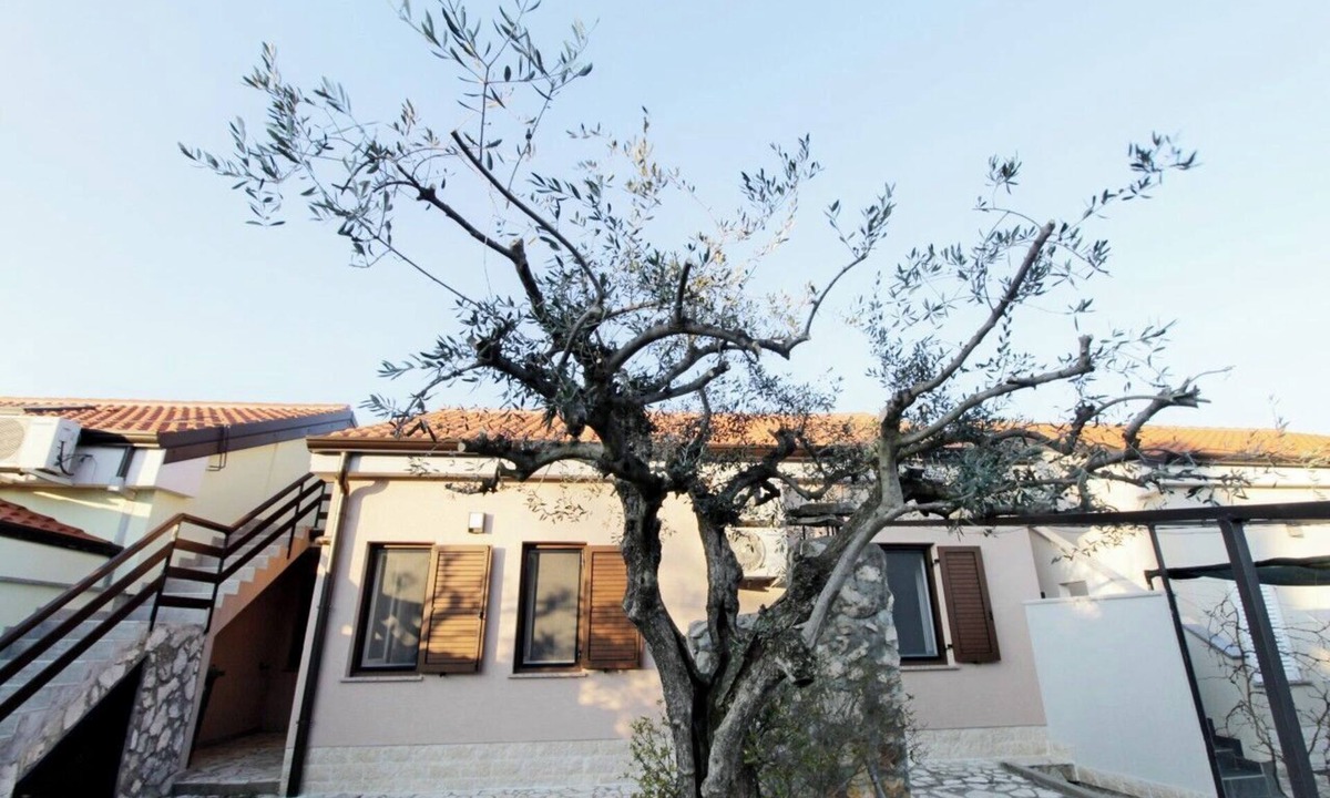 Crveni Vrh Apartment | Apartments Sea view Melita Monterosso (83316-A2) - Crveni Vrh