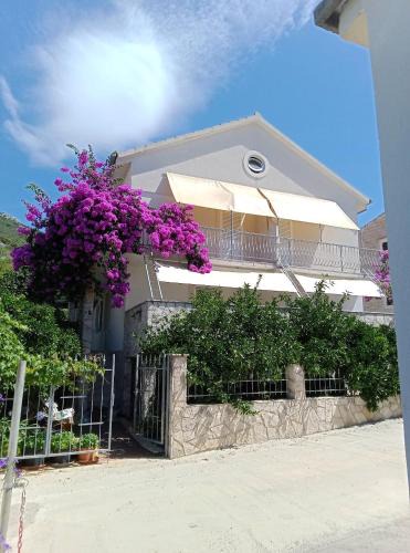 Stankovici Apartment | Apartments Vila ViDa Orebić