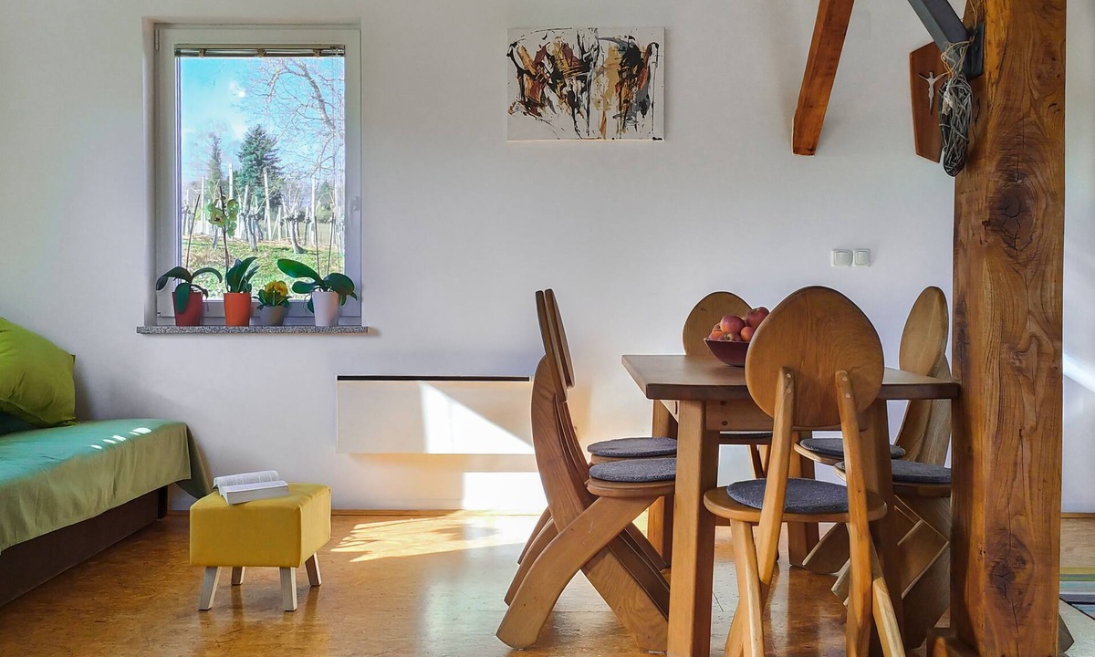 Brezice Apartment | Apartments Vinska Trta