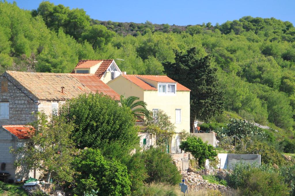Rukavac Apartment | Apartments with a parking space Rukavac, Vis - 8851