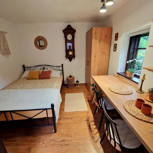 Bostanj House | Atelje Mlin Umetnin Retreat