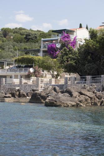 Molunat Apartment | "Azzurra Apartments