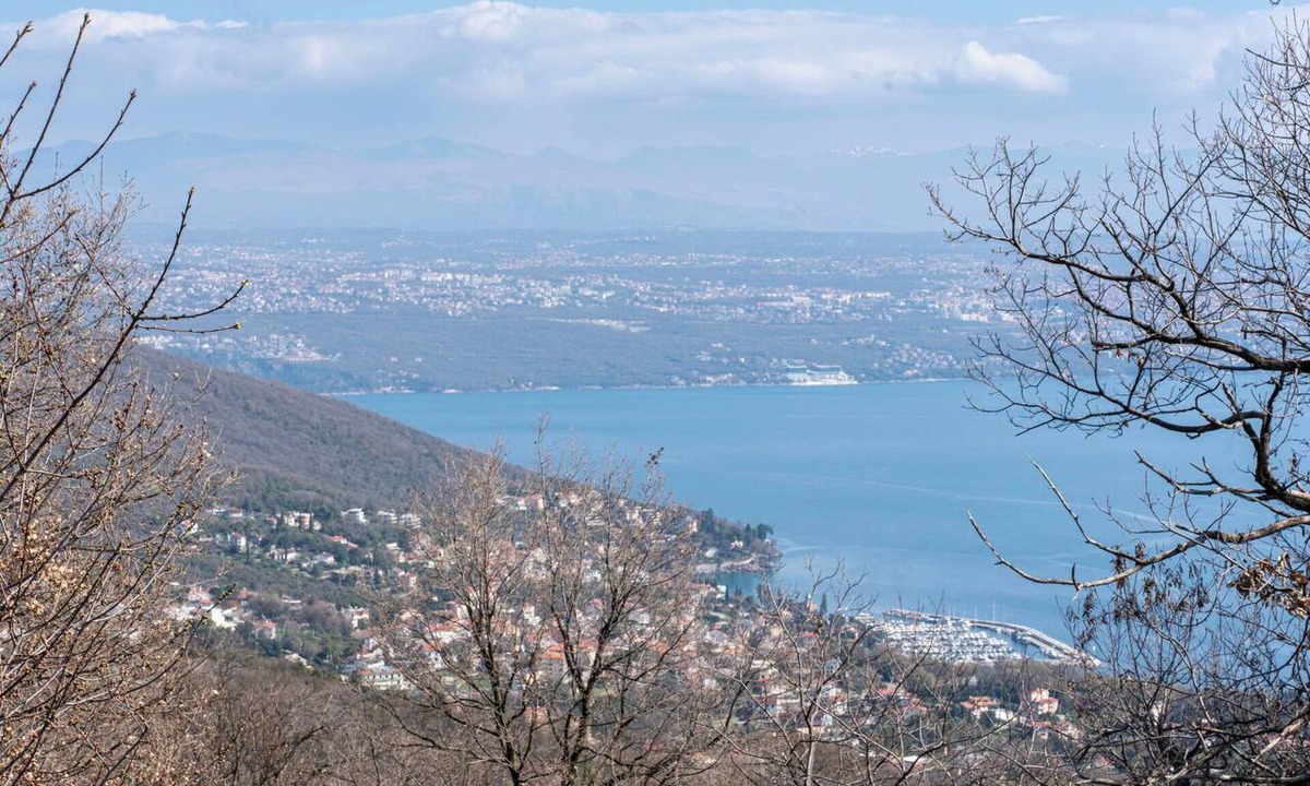 Opatija House | Beautiful private villa for 6 guests with WIFI, A/C, TV, terrace and pets allowed