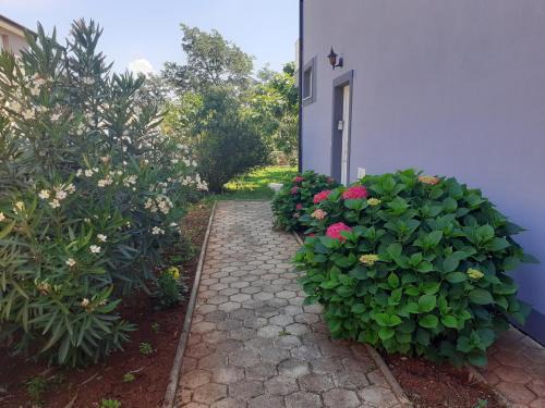 Đuba Bed & Breakfast | Bed and breakfast Julia