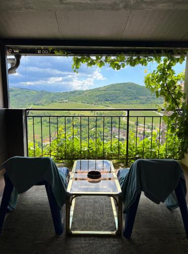 Motovun Apartment | Birdhouse