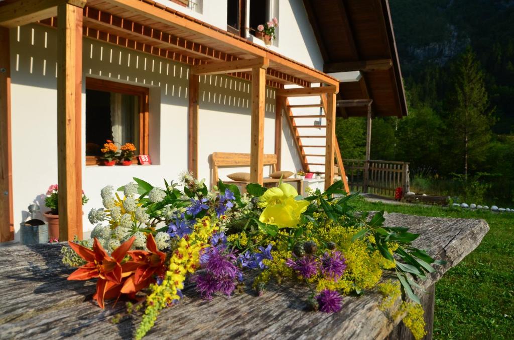 Soca House | Bovec Home At Three Samoyeds