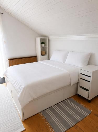 Hrastnik Apartment | Brin apartment