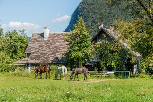 Studor House | Charming blacksmith`s house @ Lake Bohinj