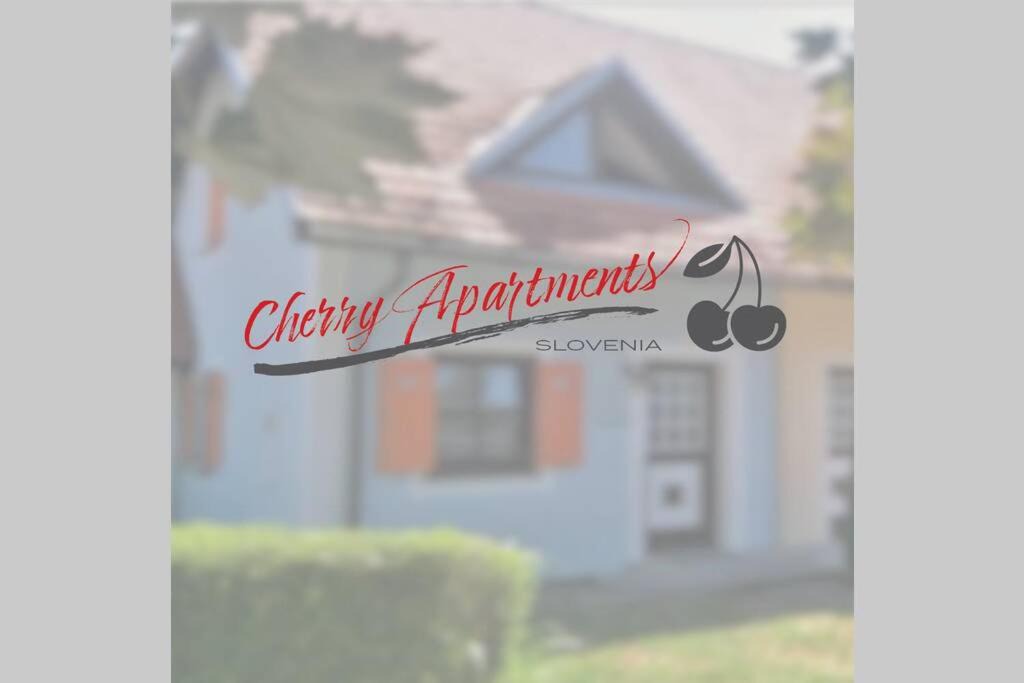 Terme Catez Apartment | Cherry apartments Slovenia