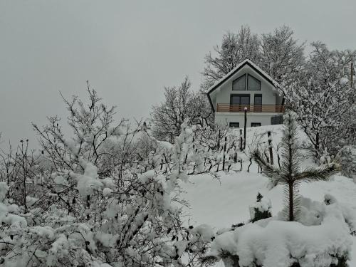 Majsperk Apartment | En hribček