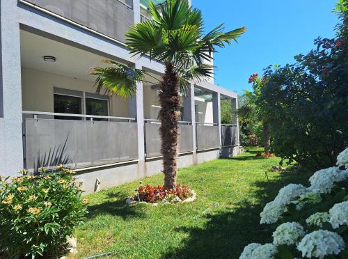 Kastel Stafilic House | Enelani Apartments