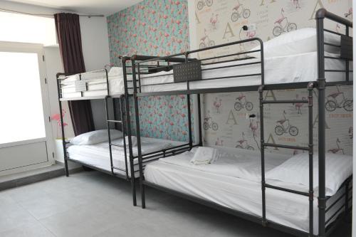 Split Hostel | Flamingo