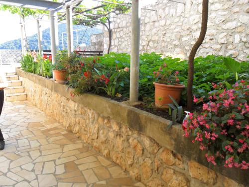 Babin Kuk Apartment | Guesthouse Niko