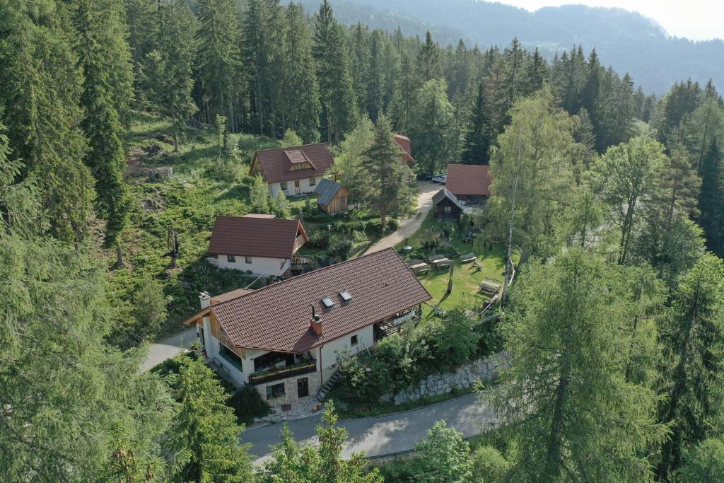 Solcava House | Guesthouse Planinski Dom Majerhold