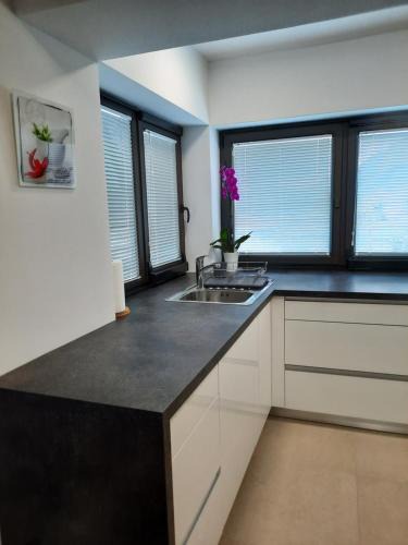 Zaga Apartment | Hiša Špuntar