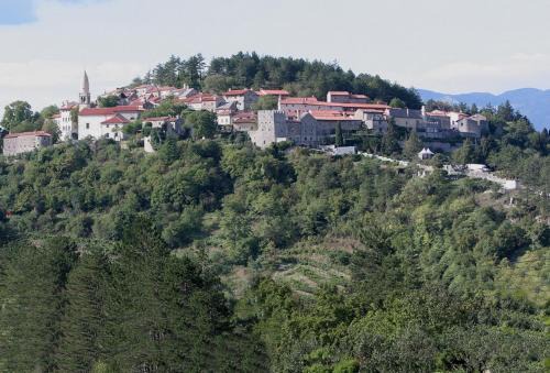 Kodreti House | Hiša posebne Sorte