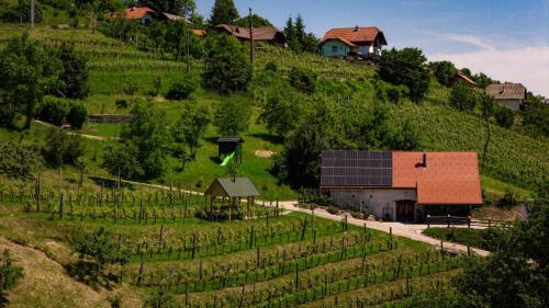Srednje Grcevje House | Holiday home in Otocec Kranjska Krain 42907