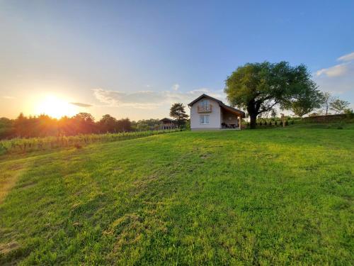 Kutjevo House | Holiday home Vinovilla