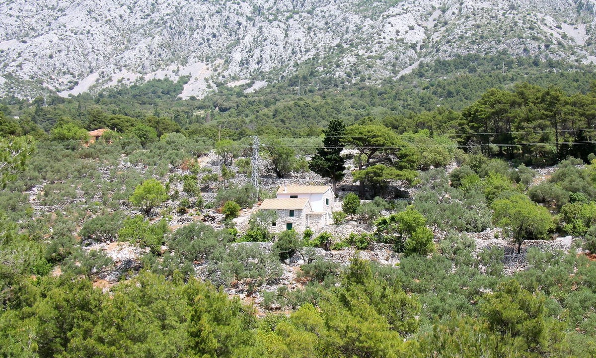 Zivogosce House | Holiday home with hot tub Živogošće - Mala Duba, Makarska (K-19811)