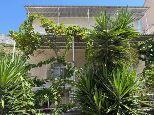 Duce House | Hostel Guesthouse Mira