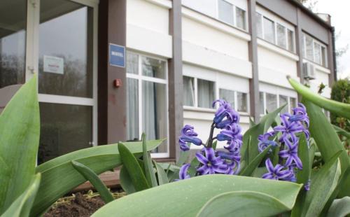 Rakitje Hostel | Hostel Rakitje-Rakitje