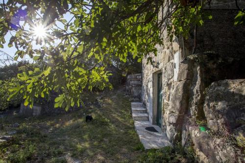 Gata House | House Gordana
