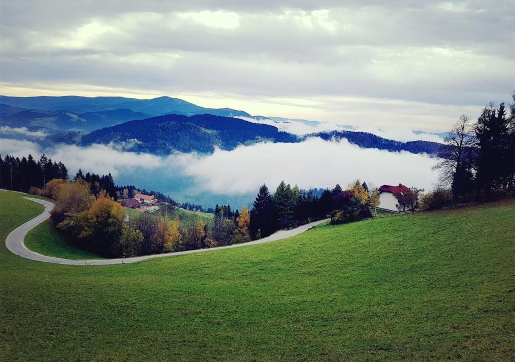 Dravograd House | House on the hill