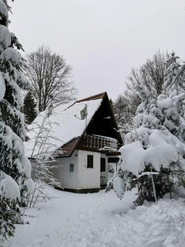Ilirska Bistrica House | Koča Kresnica