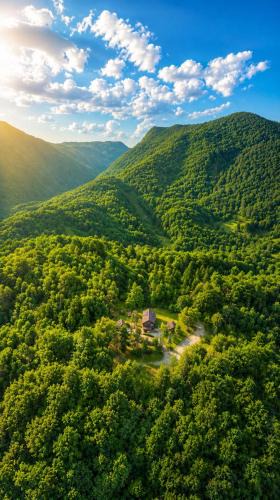 Kanal House | Koča sredi gozda